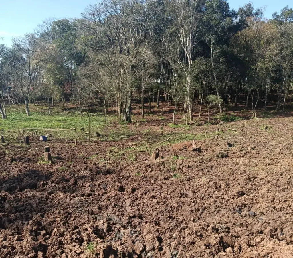 Fiscalização ambiental identifica transbordamento de dejetos e corte de árvores em Mato Castelhano - Studio TV