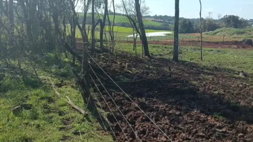 Fiscalização ambiental identifica transbordamento de dejetos e corte de árvores em Mato Castelhano - Studio TV