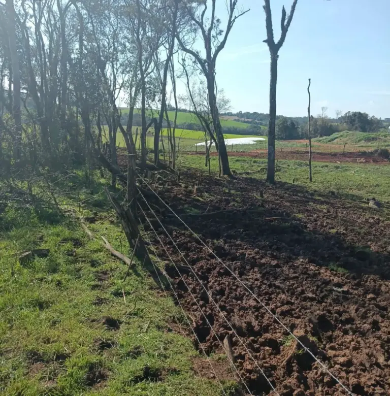 Fiscalização ambiental identifica transbordamento de dejetos e corte de árvores em Mato Castelhano - Studio TV