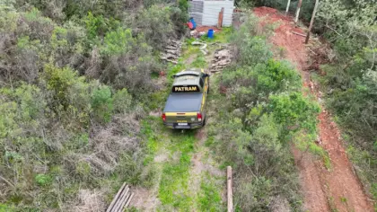 Fiscalização apreende carvão, lenha nativa e toras de araucária em Marau - Studio TV