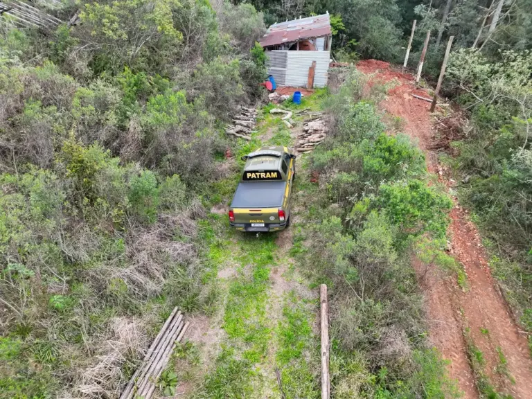 Fiscalização apreende carvão, lenha nativa e toras de araucária em Marau - Studio TV