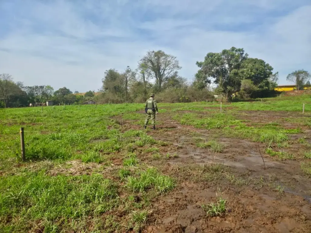 Fiscalização constata possível poluição hídrica em propriedade rural de Vista Alegre - Studio TV