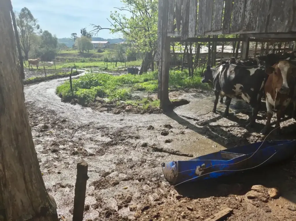 Fiscalização constata possível poluição hídrica em propriedade rural de Vista Alegre - Studio TV
