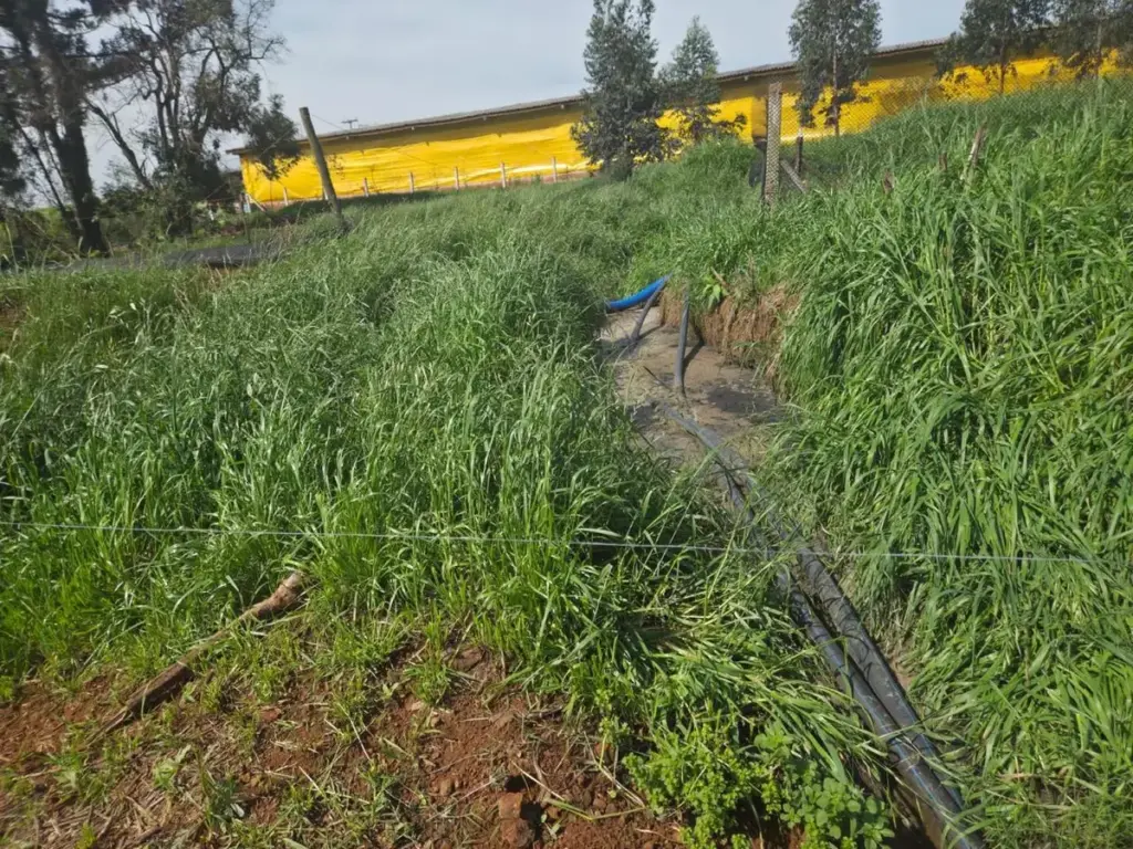 Fiscalização constata possível poluição hídrica em propriedade rural de Vista Alegre - Studio TV