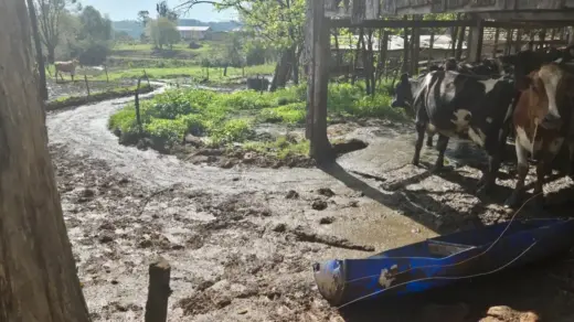 Fiscalização constata possível poluição hídrica em propriedade rural de Vista Alegre, no norte do RS - Studio TV