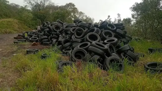 Fiscalização flagra descarte irregular de cerca de 250 pneus no RS - Studio TV