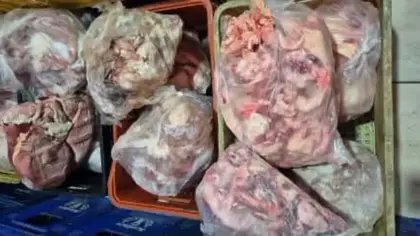 Força-Tarefa apreende duas toneladas de alimentos impróprios na Região Central do RS - Studio TV