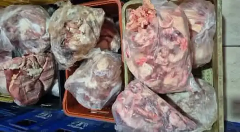 Força-Tarefa apreende duas toneladas de alimentos impróprios na Região Central do RS - Studio TV
