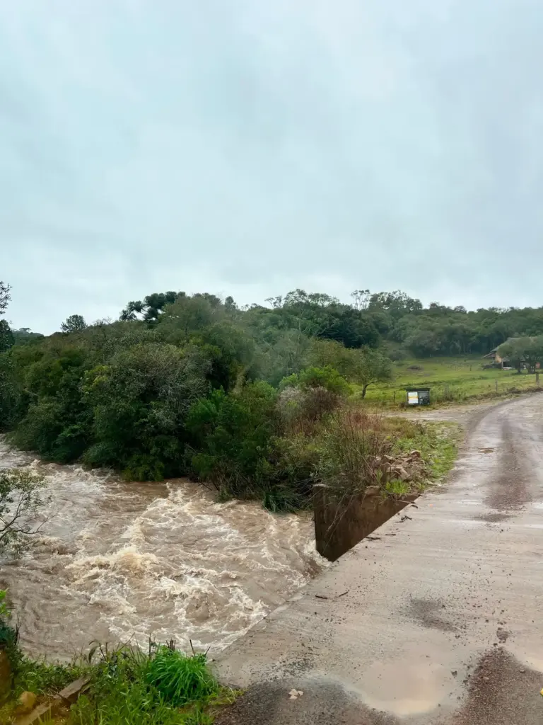 Fortes ventos derrubam árvores e destroem galpão em propriedade rural de Ipê - Studio TV