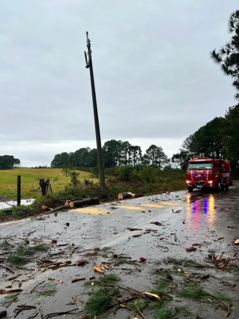 Fortes ventos derrubam árvores e destroem galpão em propriedade rural de Ipê - Studio TV