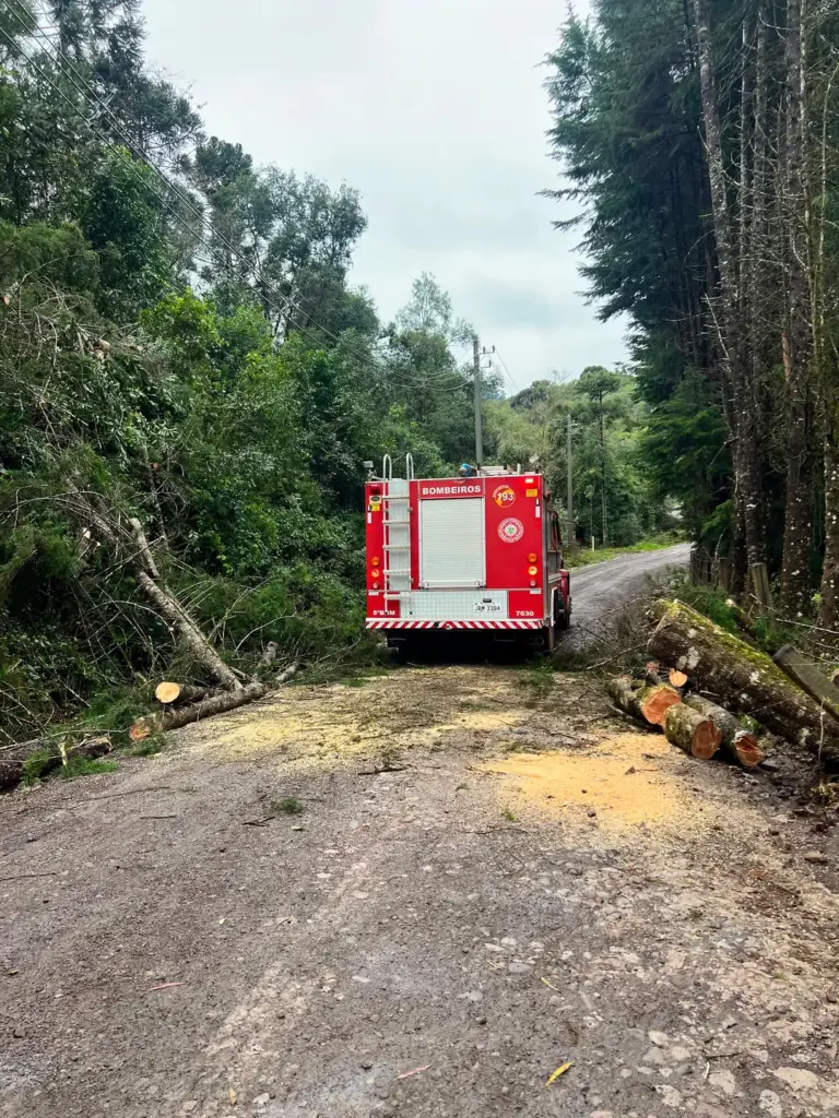 Fortes ventos derrubam árvores e destroem galpão em propriedade rural de Ipê - Studio TV