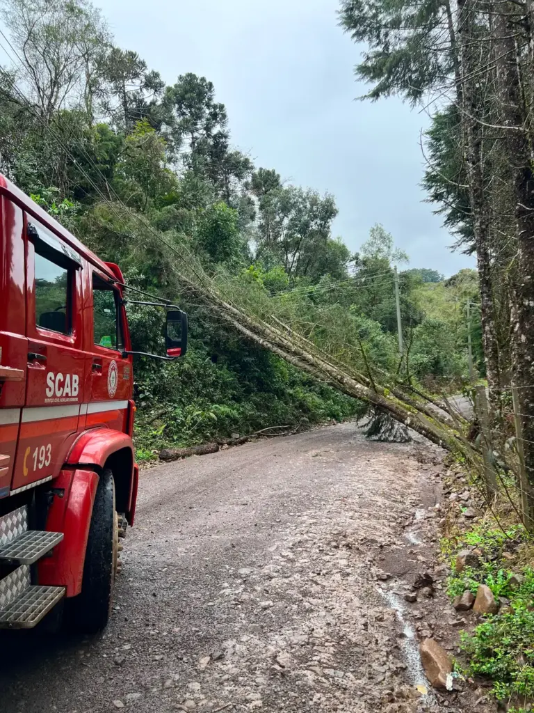 Fortes ventos derrubam árvores e destroem galpão em propriedade rural de Ipê - Studio TV