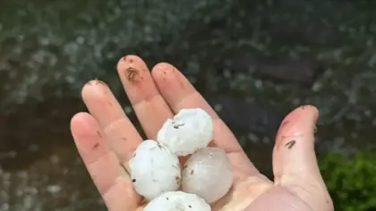 Granizo danifica telhados de mais de 120 residências em Canela - Studio TV