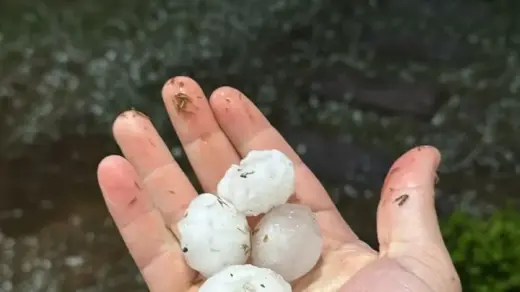 Granizo danifica telhados de mais de 120 residências em Canela - Studio TV
