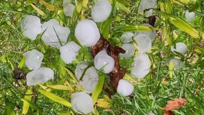 Granizo provoca danos em Pelotas e mantém alerta para temporais nesta sexta-feira - Studio TV
