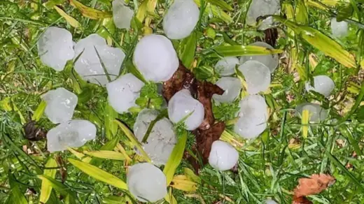 Granizo provoca danos em Pelotas e mantém alerta para temporais nesta sexta-feira - Studio TV