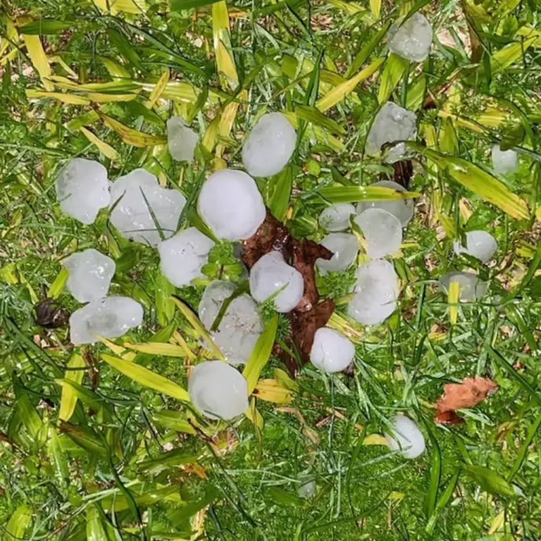 Granizo provoca danos em Pelotas e mantém alerta para temporais nesta sexta-feira - Studio TV