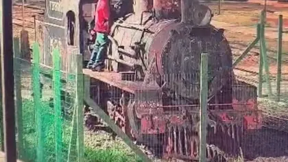 Guarda Municipal prende cinco homens por furtos e danos na Estação Férrea de Caxias do Sul - Studio TV