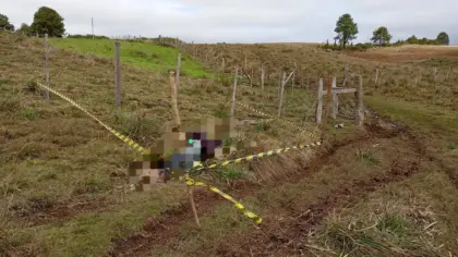 Homem de 57 anos é encontrado sem vida após buscas no interior de São Francisco de Paula - Studio TV