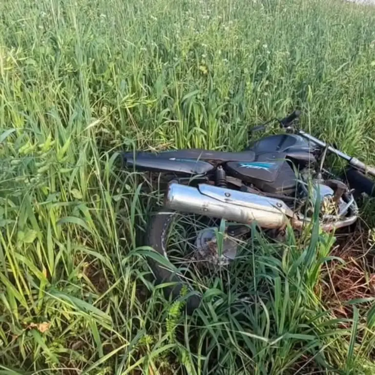 Homem é encontrado morto em lavoura mais de 15 dias após acidente no Extremo Oeste de SC - Studio TV