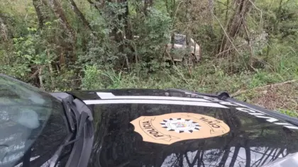 Homem é preso após furtar veículo em Guaporé e sofrer acidente durante fuga - Studio TV
