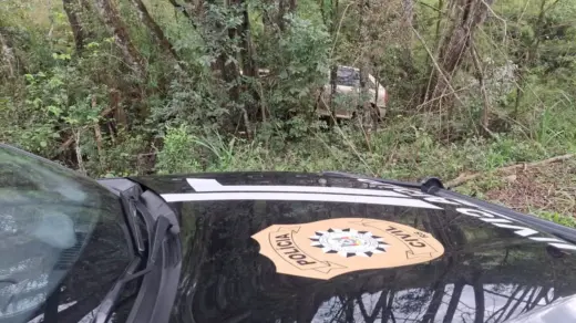Homem é preso após furtar veículo em Guaporé e sofrer acidente durante fuga - Studio TV