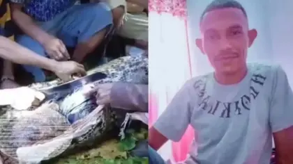 Homem morre após ataque de píton de sete metros - Studio TV