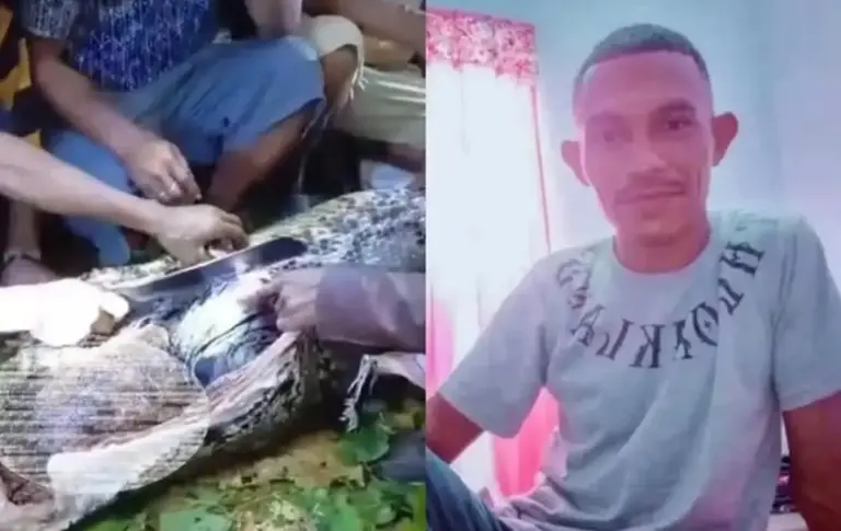 Homem morre após ataque de píton de sete metros - Studio TV