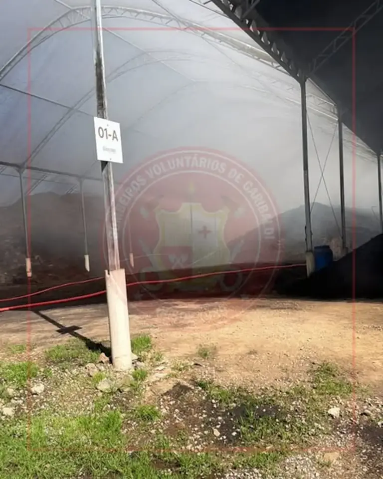 Incêndio em estufa de adubo mobiliza bombeiros em Garibaldi - Studio TV