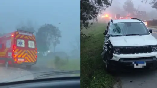 Irmãos de 7 e 14 anos morrem atropelados na BR-470, em Santa Catarina - Studio TV