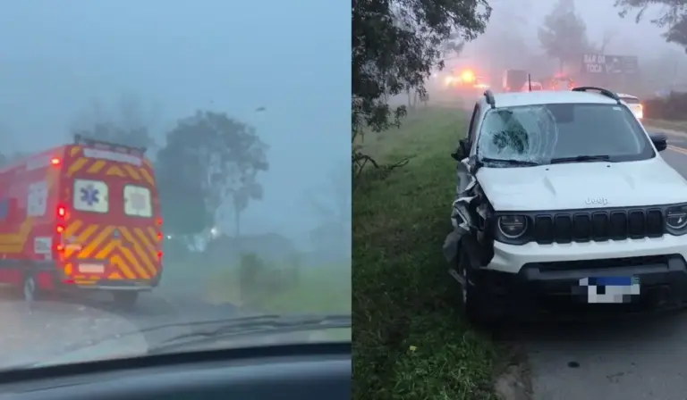Irmãos de 7 e 14 anos morrem atropelados na BR-470, em Santa Catarina - Studio TV