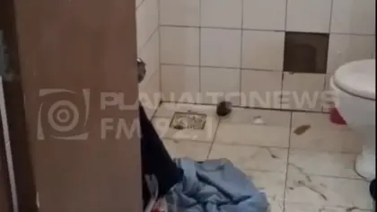 Menina de 10 anos é sequestrada e abusada em Passo Fundo - Studio TV
