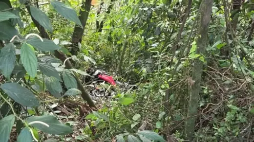 Motociclista de Carlos Barbosa morre em acidente na Rota do Sol, em Westfália - Studio TV