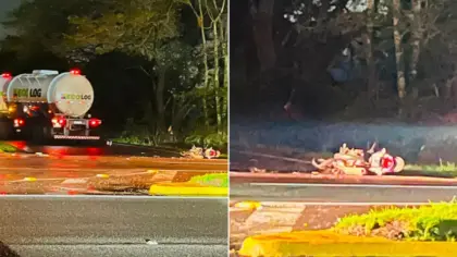 Motociclista morre após colisão com caminhão na RS-240, em Portão - Studio TV