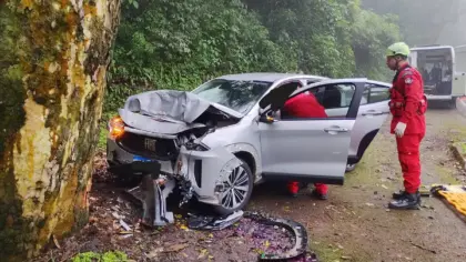 Motorista fica ferido após carro bater em árvore na BR-116 entre Nova Petrópolis e Picada Café - Studio TV