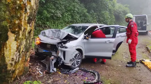 Motorista fica ferido após carro bater em árvore na BR-116 entre Nova Petrópolis e Picada Café - Studio TV