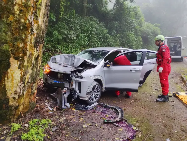 Motorista fica ferido após carro bater em árvore na BR-116 entre Nova Petrópolis e Picada Café - Studio TV