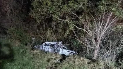 Motorista morre após atropelar capivara e colidir com carreta no RS - Studio TV