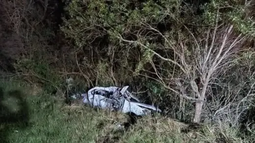 Motorista morre após atropelar capivara e colidir com carreta no RS - Studio TV