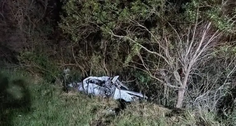 Motorista morre após atropelar capivara e colidir com carreta no RS - Studio TV