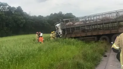 Motorista morre em grave acidente entre caminhões na ERS-463 - Studio TV