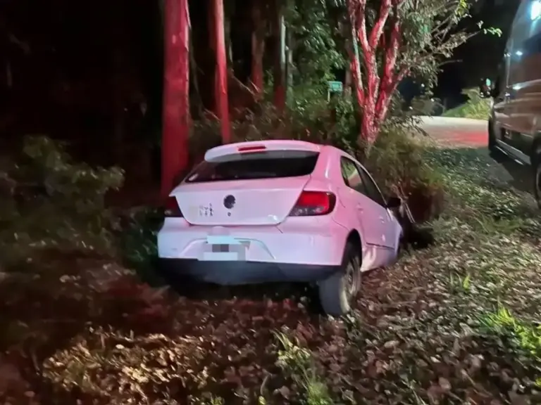 Motorista sofre mal súbito e carro de Bento Gonçalves sai da pista na ERS-446 - Studio TV