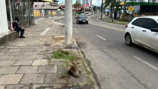 Mulher de 30 anos morre após carro colidir contra poste em Caxias do Sul - Studio TV