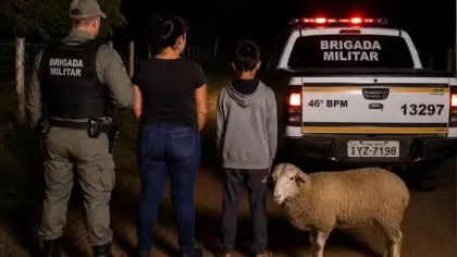 Mulher é presa e adolescente é apreendido por abigeato em Dom Pedrito - Studio TV