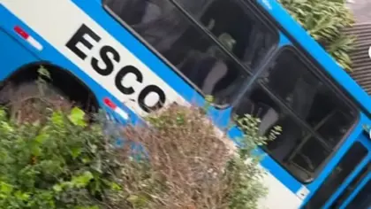 Ônibus perde o controle e cai sobre residência em São Marcos - Studio TV
