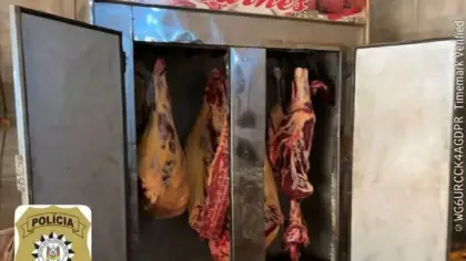 Operação contra abigeato apreende 200 quilos de carne clandestina no Noroeste do RS - Studio TV