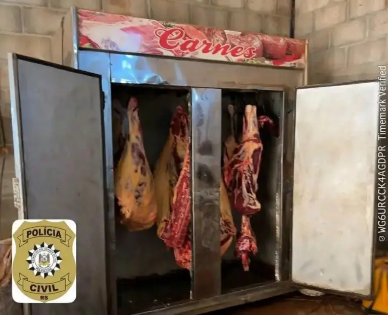 Operação contra abigeato apreende 200 quilos de carne clandestina no Noroeste do RS - Studio TV