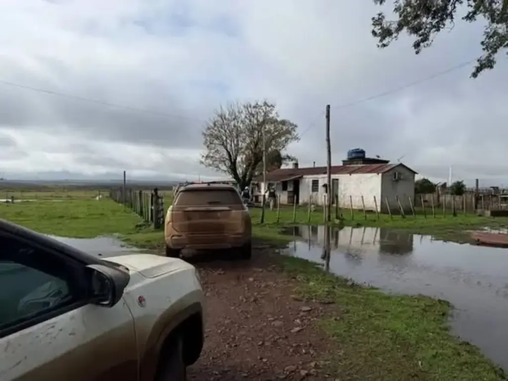 Operação resgata dois trabalhadores de condição análoga à escravidão em Santana do Livramento - Studio TV
