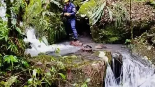 Perícia descarta origem humana em primeiro osso encontrado no interior de Bom Jesus - Studio TV