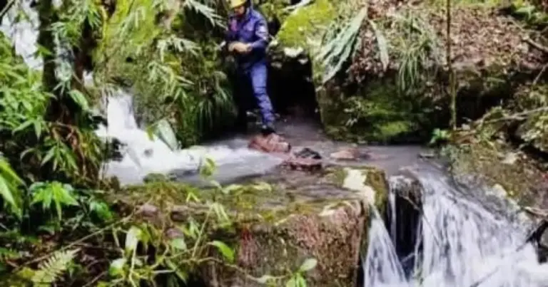 Perícia descarta origem humana em primeiro osso encontrado no interior de Bom Jesus - Studio TV
